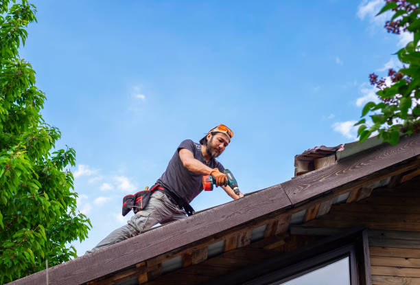 Best Chimney Flashing Repair  in North Brooksville, FL